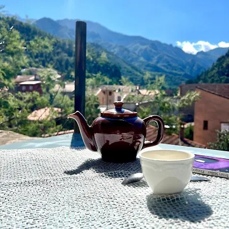 Appartement Le Nid Du Canigou, Avec Terrasse Dans Le Vieux Village *