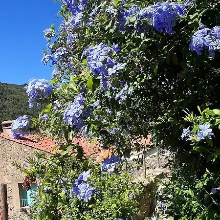 Le Nid Du Canigou, Avec Terrasse Dans Le Vieux Village Vernet-les-Bains